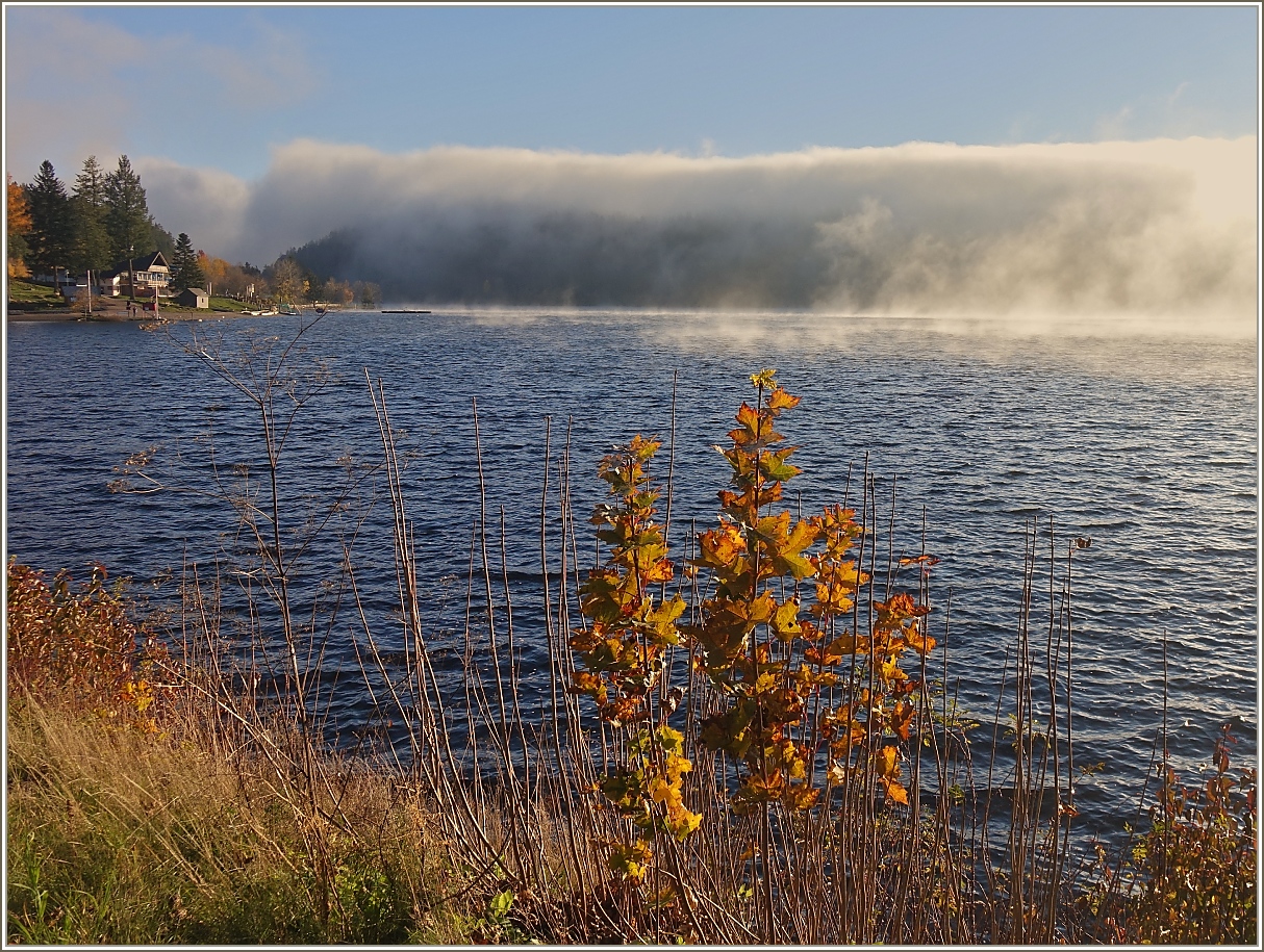 Eindrücklich kommt eine Nebelwelle über die Wälder auf den Schluchsee zu.
(13.11.2022)