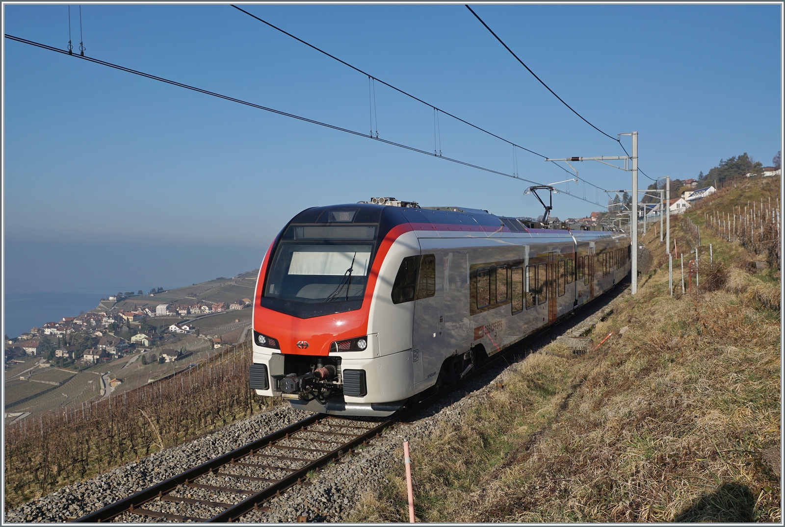  Fernverkehr  auf der Train de Vignes Strecke: der für den Fernverkehr beschaffte SBB Flirt3 RABe 523 503  Mouette  (RABe 94 85 0 523 503-6 CH-SBB) ist als S7 auf der Train de Vignes Strecke zwischen Vevey und Puidoux kurz vor Chexbres unterwegs. Ich hatte Glück mit dieser Aufnahme, denn schon am folgenden Tag übernahm ein  Domino  den Dienst auf der S7. 

15. Feb. 2023