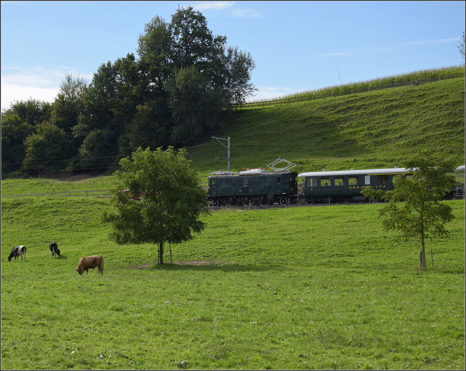 Historische Seethalbahn in Aktion.

Der Museumszug mit Seetalkrokodil De 6/6 15301, A 3/5 10217 und den Seetalwagen fährt oberhalb der Bunkerhangare des Flugplatz Emmen vorbei. Zufällig lässt sich das Krokodil verstecken und A 3/5 zieht scheinbar alleine den Zug. September 2024.