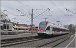 Seehas und Seehäsle in Radolfzell: Während der SBB RABe 521 203 als Seehas Radolfzell in Richtung Engen verlässt, warten im Hintergrund die beiden DB 650 023 und 650 115 als