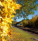 Herbstzeit oder Indian Summer in Herdorf.....