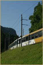 Bei Oberried.
20.08.2012