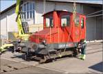 Spitzmaus auf Reisen.