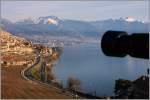 Das Motiv aus der Sicht des Fotografen,hier St-Saphorin und die Waadtlnder Berge.
(08.02.2011) 