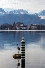 Gmunden am Traunsee am 14 Januar 2025, Blick von aufs Seeschloss Ort, bekannt durch die Fernsehserie Schlosshotel Orth der 1990er Jahre. 

Vielleicht ist es das Seeschloss Ort, was uns ein kleines Gefhl „Genfersee“ einhaucht, aber auf  ...