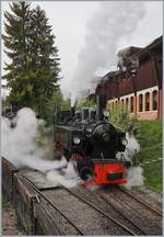 Die Blonay-Chamby G 2x 2/2 105 ist vor dem Einfahrsignal kurz zum stehen gekommen und dampft nun kräftig in den Bahnhof.