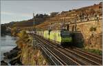 Die BLS Re 465 017 und eine weitere sind mit einem (leeren) Zuckerrübenzug zwischen Rivaz und St-Saphorin in Richtung Chablais unterwegs. 


12. Nov. 2024
