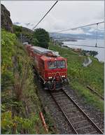 Impressionen vom nicht so gelungenen ersten  Umleitungswochenende  über die  Train des Vignes  Strecke infolge baubedingter Streckensperrung Vevey- Lausanne: Der Hilfszug XTmas 99 85 9177 004-0