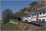 Von den vielen Tunneln in der Schweiz ist der Salanfe Tunnel auf der  Train de Vignes -Strecke wohl einer der unbedeutendsten, zudem er nur zwanzig Meter lang ist.