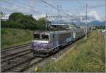 Die SNCB BB 22391 ist mit ihrem TER 96605 von Grenoble nach Gen�ve unterwegs und erreicht Vernier. Meist ist die Lok am Schluss des Zuges eingereiht, doch dieses Mal hatte ich Gl�ck und sie zog den Zug, was Lichttechnisch nat�rlich von Vorteil war. Durch die Unsicherheit ob die Lok den Zug zieht oder schiebt, ist es nicht einfach eine Fotostelle zu finden, die beiden Varianten gerecht wird.   

1. Juni 2026