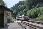 Ein SBB RBDe 560  Domino  hat den 3700 Meter langen Weissensteintunnel verlassen und erreicht nun die auf dem Gemeindegebiet von Crémines gelegene Station Gänsbrunnen. Eigentlch hat die Bahn einen schweren Stand: schlechter Konstendeckungsgrad, wenig potentieles Verkehrsaufkommen in diesem dünn besiedeltem Gebiet und eine Fahrzeit die  dank  weniger Minuten zuviel für einen Stundentakt zwei Kompositionen benötigt; währe das nicht das Thal, hätte man die Linie wohl schon längst eingestellt. Das Thal, östlich von Gänsbrunnen gelegen, bis nach Balsthal reichend und zum Kanton Solothurn gehörend, dürfte wohl der Grund sein, dass die Bahn erhalten bleibt, den eine direkte Strassenverbindung nach Solothurn gibt es nicht. 
Somit wird nun 2024 die längst fällige Restaurierung des Weissensteintunnles in Angriff genommen. 

17. Juni 2023