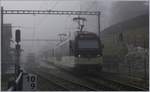 Ein MOB Alpina Paar mit zwei Zwischewagen (Be 4/4 9202 und ABe 4/4 9302) tasten sich bei Les Avants durch den dichten Nebel.
