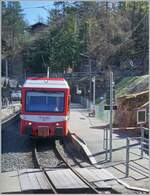 In Les Marecottes begegnet der TMR Beh 4/8 72 (mein Standort) dem TMR Beh 4/8 71, der als Leerfahrt in Richtung Chatelard unterwegs ist.