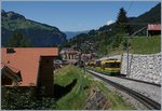 Leistungsstarke 80 cm Spur: Die WAB (Wengerneralp Bahn) betreibt zwischen Lauterbrunnen, Wengen, Kleine Scheidegg und Grindelwald einen leistungsfähigen Verkehr im dreißig Minuten Takt. Dafür ist gleich oberhalb von Wengen ein längere Streckenabschnitt doppelspurig ausgeführt. Kurz vor Wegen kommt unserm talwärts fahrenden Zug der Bhe 4/8 Panorama-Triebwagen 145 mit einen weiteren entgegen.
8. August 2016 