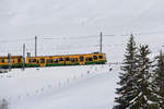 Der Wengernalpbahn Gelenksteuerwagen 251 zwischen Wengen und Allmend.