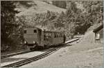 Die Kohlegefeurte Lok N�5 erreicht die Station Planalp.