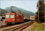 Die WSB De 4/4 mit einem Aluminium Massel Zug nach Menziken bei der Ankunft in Gränichen.