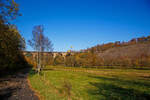 Herbstzeit im Siegerland und die Blätter fliegen....