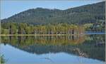 Spiegelbild am Schluchsee  25.09.2023