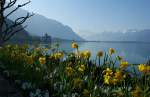 Frhling am Genfersee.