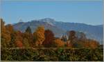 Der Rochers-de-Naye umgeben von der momentanen Herbststimmung.