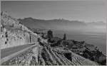 Genferseeregion/171710/sw-aufnahme-vom-lavaux-aus-mit S/W Aufnahme vom Lavaux aus, mit Blick auf St-Saphorin, den Rochers-de-Naye und die Riviera des Genfersee's.
(18.10.2011)