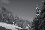Genferseeregion/243826/ein-wintertraum-in-sw-les-pleiades Ein Wintertraum in S/W. 
Les Pleiades, den 19. Dez. 2012