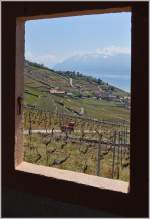 Genferseeregion/338628/blick-aus-einem-fenster-aufs-lavaux Blick aus einem Fenster auf's Lavaux und seine Umgebung.
(23.04.2014)