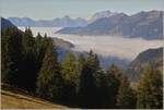  W�hrend der Nebel im Tal f�r graue Stimmung sorgt, herrscht �ber der Nebelgrenze traumhaftes Herbstwetter. 25.10.2025


