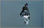Wasser/131219/wasser-springt-durch-die-luft29032011 Wasser springt durch die Luft
(29.03.2011)