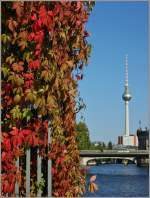 Bunte Bltter erzhlen in Berlin vom baldigen Herbst.