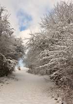 . Winterlicher Wanderweg in der Nähe von Maulusmühle. 02.02.2015 (Jeanny)