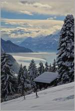 Winter in der Genferseeregion im Januar 2015