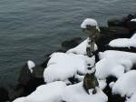 Sogar am See hat der Winter alles fest im Griff...
(05.01.2010)