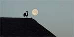 Vollmond...

Blonay, der 29. Aug. 2026
